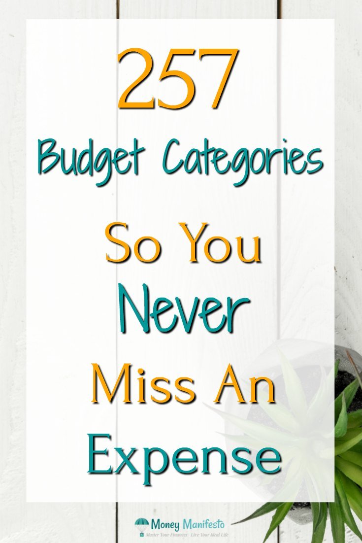 257 budget categories so you never miss an expenses again overlayed over potted plant on whitewashed wood background